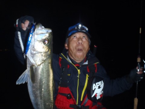 yudv66eb648tmhek28f4_480_480-c321aa91.jpg