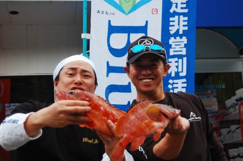 yuinforjy2cffd49na5c_480_480-214eeaaf.jpg