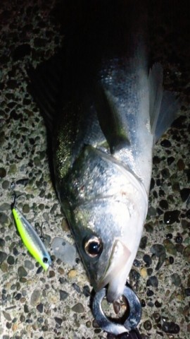 yukjthgsmsnm9h3yanru_518_920-7e5b08ae.jpg