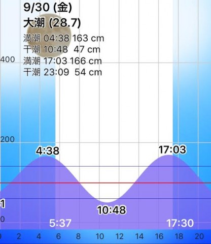 yux98eh5v89trj7tx7ts_480_480-17d898e9.jpg