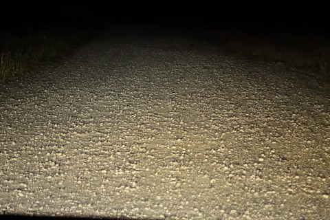 yv5545rgzkb8ygftuz76_480_480-34504bf8.jpg
