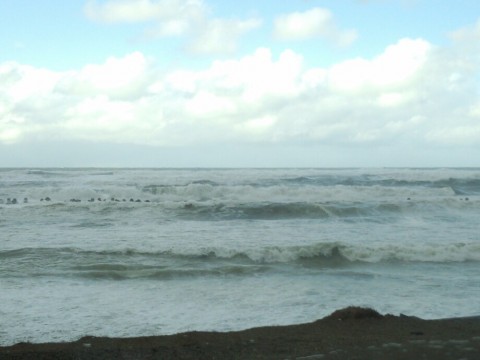 yva3j8ue7pfnfhp37eg2_920_690-151421d8.jpg
