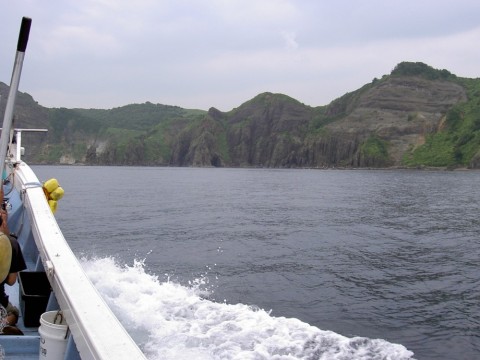 yvumt27i9twm8ccgr7ym_480_480-98b87ad6.jpg