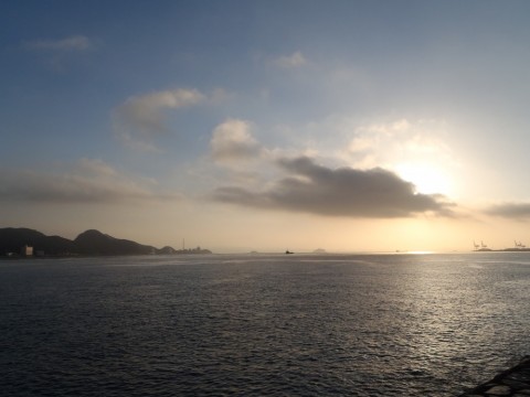 yvvwaspc8dsmfoi5tu8x_480_480-598d2b96.jpg