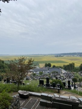 yvz3972njumvom3h2no2_361_480-b44f29d6.jpg