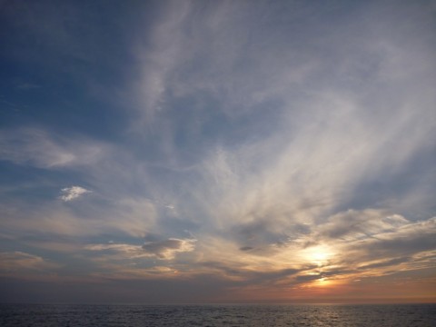 yvzu6pgbvz8cdardskib_480_480-35a7032a.jpg