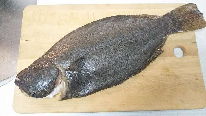 本格派初心者アングラーたつ釣りブログ 釣った魚を当日に刺身で美味く食べる塩締め