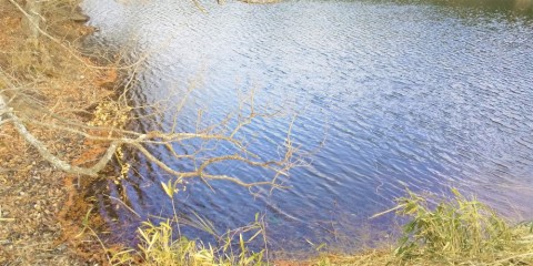ywao46rj9tv7nddysp2j_480_480-64674508.jpg