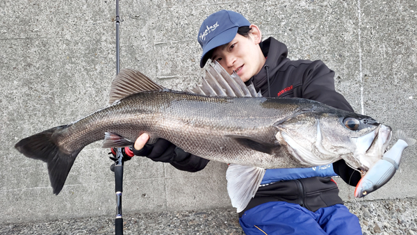 Megabass Official Fimo Blog 厳寒期攻略は S字波動