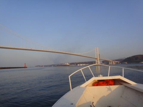ywevgoctvmgxpx4b7vdo_480_480-5837d170.jpg