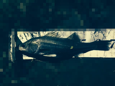 ywvjvchrgg2v6p8mvuti_920_690-c577b3f9.jpg