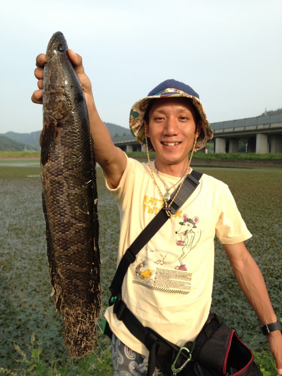 島根real Seabass 釣り納め