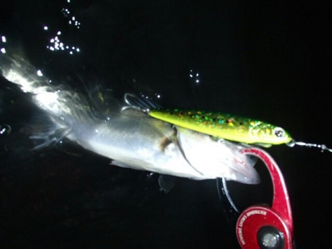 yx7ca7b3hruxn8mtxh7g_640_480-c617aec4.jpg