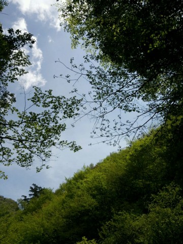 yxkxdk7trwgfa8e74nsh_480_480-5528d890.jpg