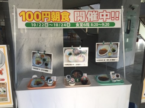 yxuogwyihnuk22e4dc2f_480_480-5f5f00a0.jpg