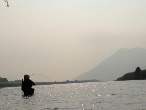 yy4dico8z94zeinfn9bk_920_690-acb888eb.jpg