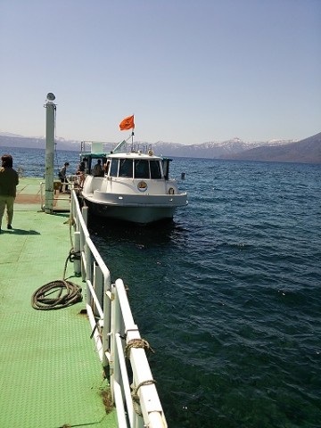 yy5ekojak2utbnanmpe9_480_480-8f521795.jpg