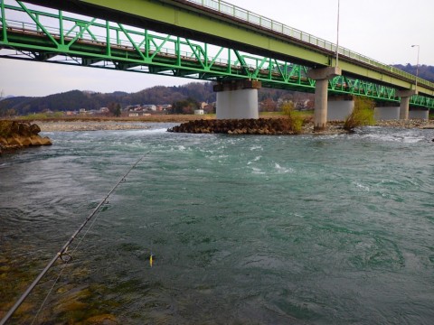 yyedabctx2mb6c4fuetd_480_480-06e9403d.jpg