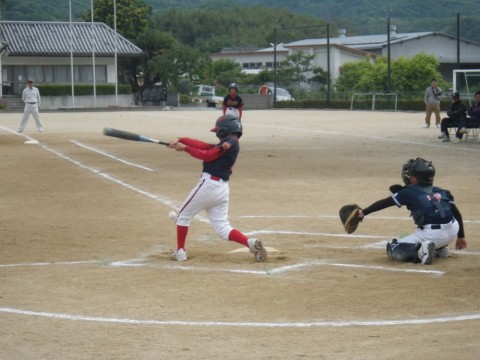 yyha93mzetn85mre2y6e_480_480-34b67176.jpg