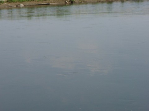 yyk6uzjjubfe8x5i6uyy_480_480-7d9ae86e.jpg