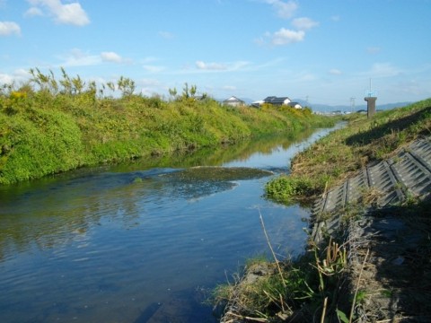 yyki2j4jhtd6ed9jfbfe_480_480-f0f6c1aa.jpg