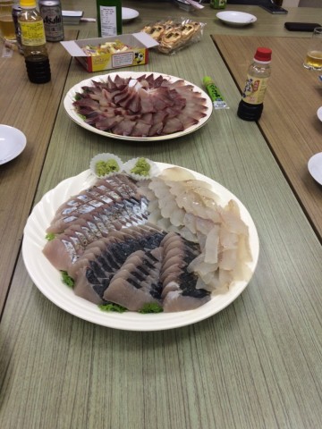 yysfdg9a5tjwaaat3fex_480_480-b42d6ebd.jpg