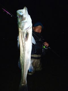 yysr27sy29xfj7ng7ofi-0b605102.jpg