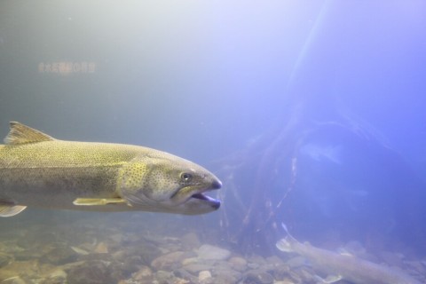 yywc4ikzmyg9u92acweh_920_613-2641680d.jpg