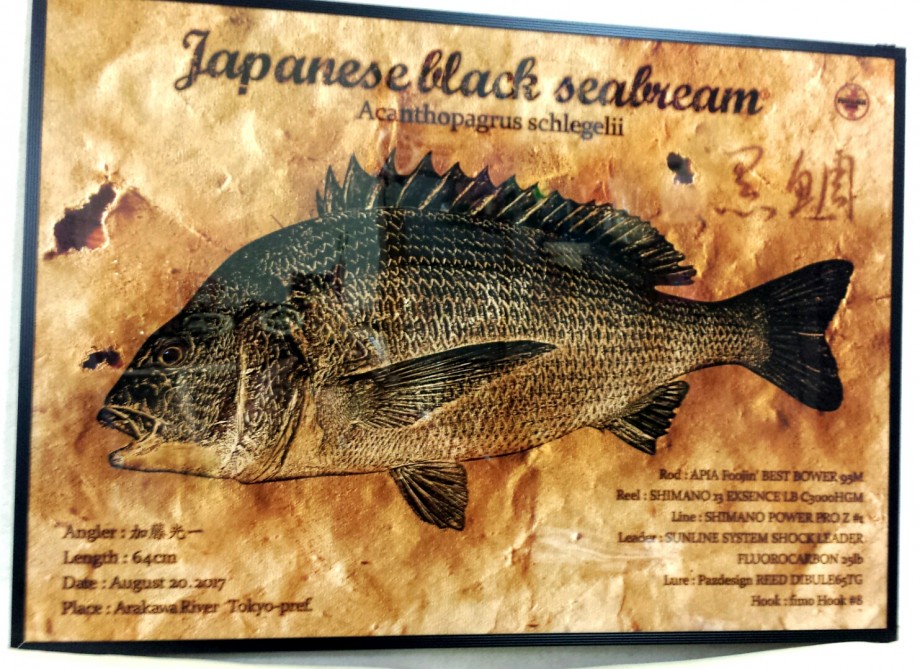 人の振り見て我が道を行く 感動を再び クロダイのデジタル魚拓
