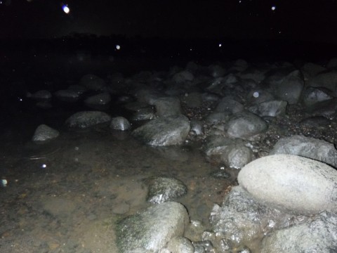 yyxr2gn2nt4fdesjbd7r_480_480-af62c277.jpg