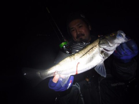 yz64h4vr4ezcpzb8v7sv_480_360-d16c2530.jpg