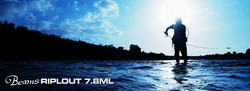 yz893ypdmborobaa8r2n-04d03d5f.jpg