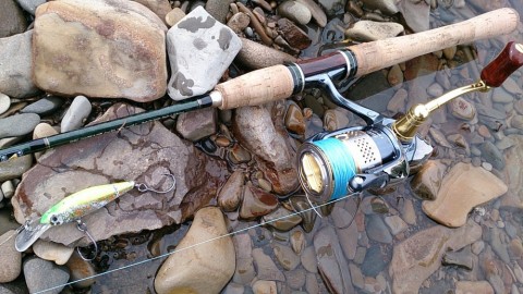 yznwadtweph2rvohmv63_480_480-0290e023.jpg