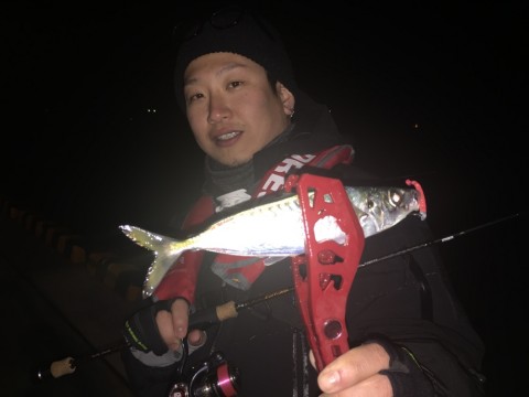 yzu9op6wg75aoemmcp63_920_690-4762e505.jpg