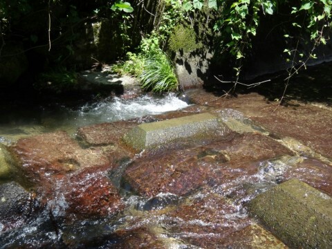 yzzcrymk63tvec8j5g59_480_360-de1007cb.jpg