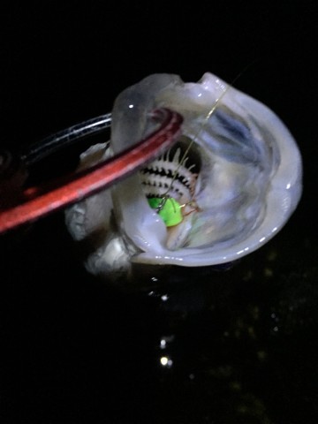 z25hkasxe296khm59ec3_690_920-7a374ea8.jpg