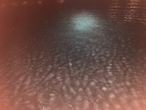 z27yxpsfvyfh75hwjg8k_480_361-b274208f.jpg