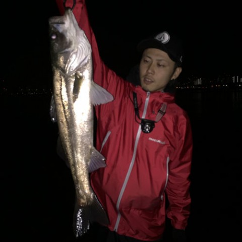 z2e5ddedfrg9sper73u5_480_480-5f59c801.jpg