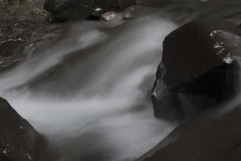 z2hmh6ysm37irb9o2xu7_480_480-d5f9c80d.jpg