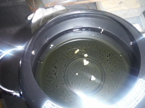 z2jz6vvt66fj2fcw87e8_480_480-bf0ba943.jpg