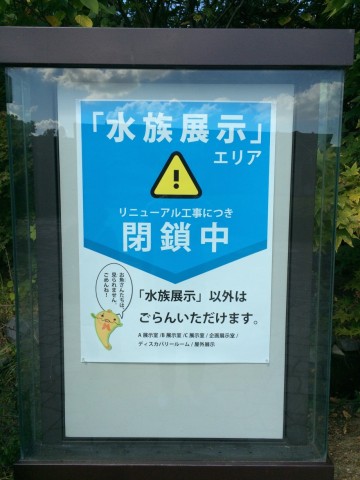 z2m7p4c6ktbzi37f9arf_480_480-7af29ab5.jpg