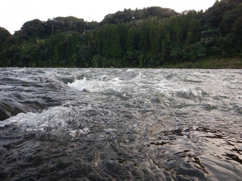 z2mmixiu93tdyrenakcy_480_480-9b2f4648.jpg