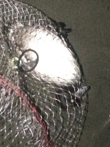 z2n355guwh6yauwjtevj_690_920-528b345c.jpg