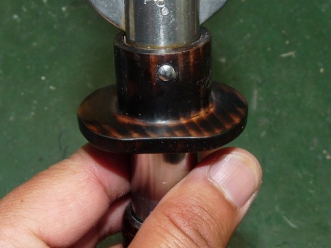 z2t23gfydgrx8c6bkega_480_480-eaa159c8.jpg