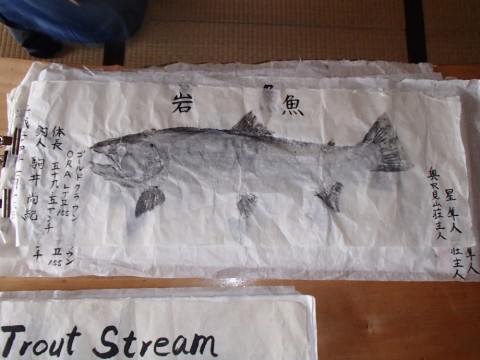 z35n7kr32an9xp3hyosm_480_480-738829ac.jpg
