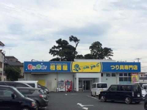z3roh8vk235ce922gast_480_480-95b877fd.jpg