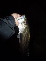 z3ub5ushox9xsog9w4f6-cc596e8c.jpg