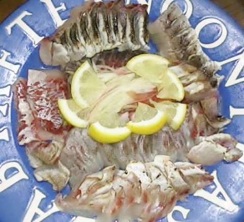 z3vhea2geeob2ynrjrjk_480_480-5d685cee.jpg