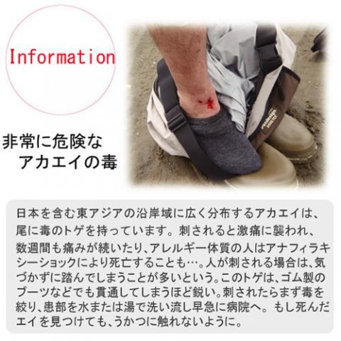 z3xs6wcdvpa7ohta69dw_480_480-b646f79f.jpg