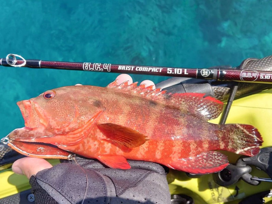 Fishmanブログ】 BC4 5.10Lで100魚種チャレンジ☆vol.3